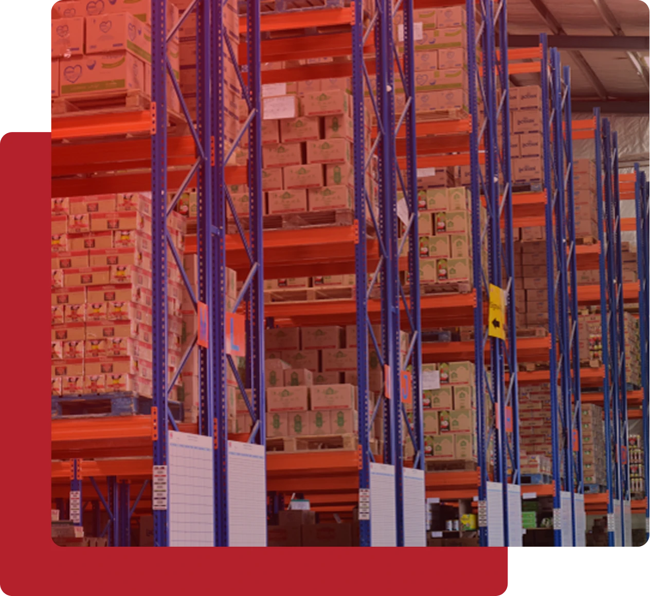 distribution partner